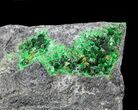 Druzy Green Uvarovite (Garnet Group) - Russia #39073-1